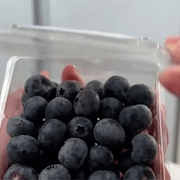 FitMiks Prenosivi Blender